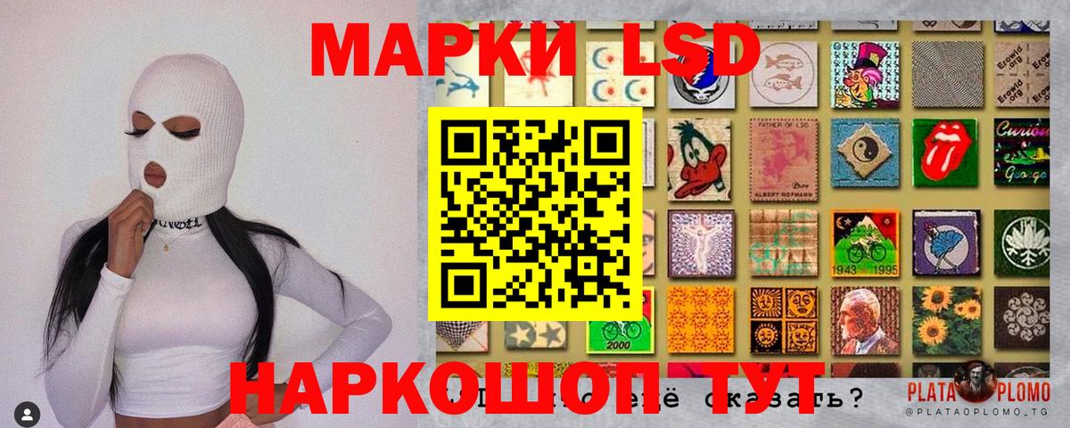 А ПВП Курчалой