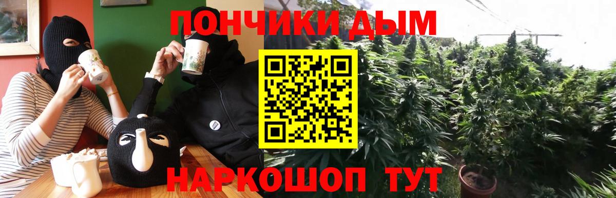 Каннабис SATIVA & INDICA  Вход с VPN  Курчалой  Конопля Ganja  Марихуана планчик  Конопля сатива 